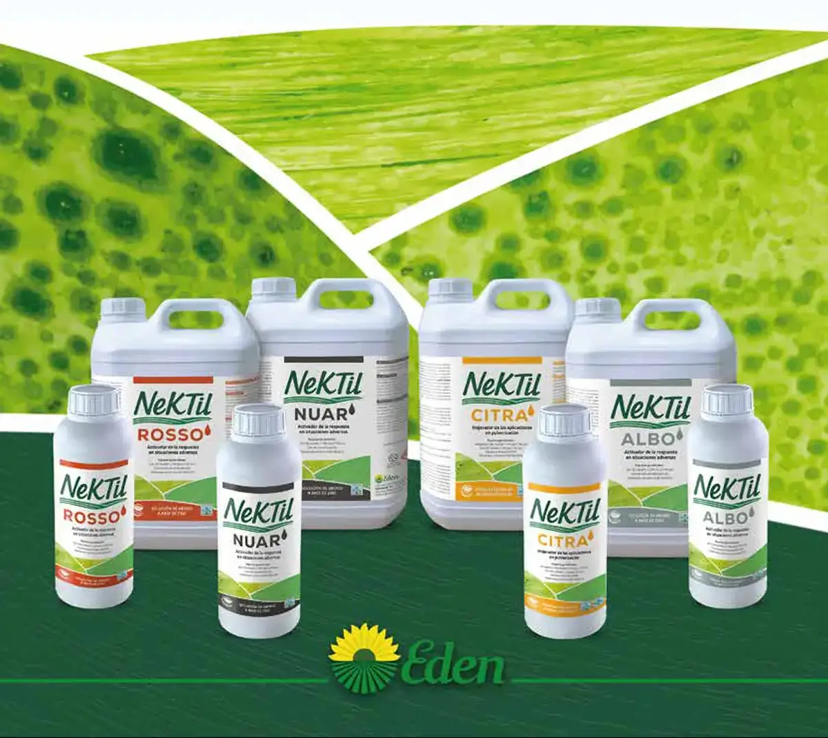 Gama de productos Nektil
